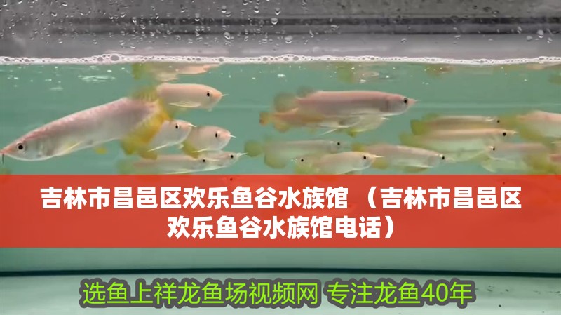 吉林市昌邑區(qū)歡樂魚谷水族館 （吉林市昌邑區(qū)歡樂魚谷水族館電話）
