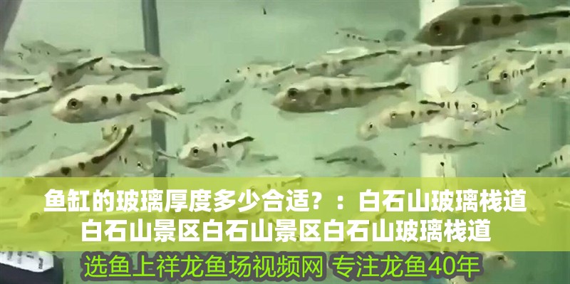 魚缸用增氧泵價(jià)格是多少:魚缸增氧機(jī)-xtrac增氧機(jī)-xtrac增氧機(jī) 魚缸的玻璃厚度多少合適?:白石山玻璃棧道白石山景區(qū)白石山景區(qū)白石山玻璃棧道 魚缸百科 魚缸的玻璃厚度多少合適?:白石山玻璃棧道白石山景區(qū)白石山景區(qū)白石山玻璃棧道 魚缸的玻璃厚度多少合適?:白石山玻璃棧道白石山景區(qū)白石山景區(qū)白石山玻璃棧道 魚缸百科