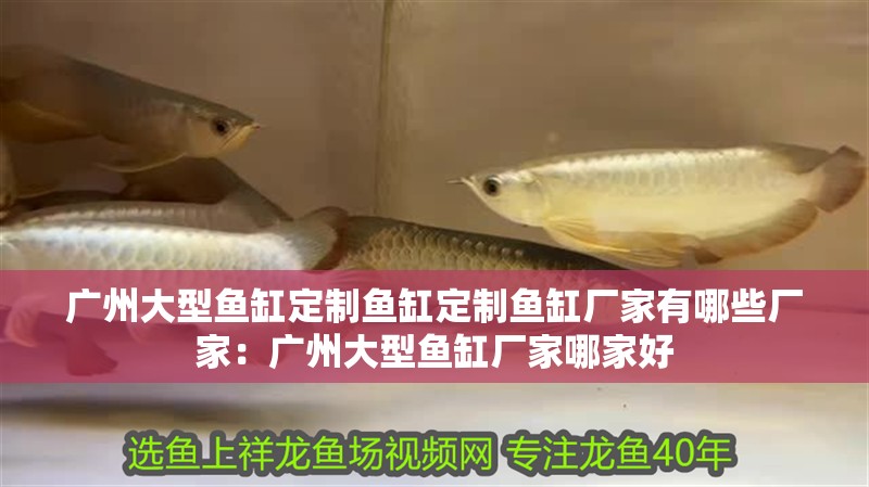 廣州大型魚缸定制魚缸定制魚缸廠家有哪些廠家：廣州大型魚缸廠家哪家好