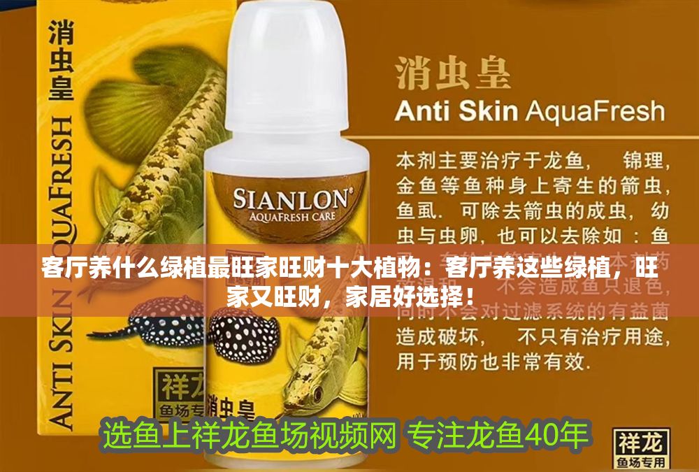 客廳養(yǎng)什么綠植最旺家旺財(cái)十大植物：客廳養(yǎng)這些綠植，旺家又旺財(cái)，家居好選擇！