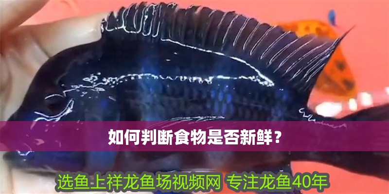 如何判斷食物是否新鮮？