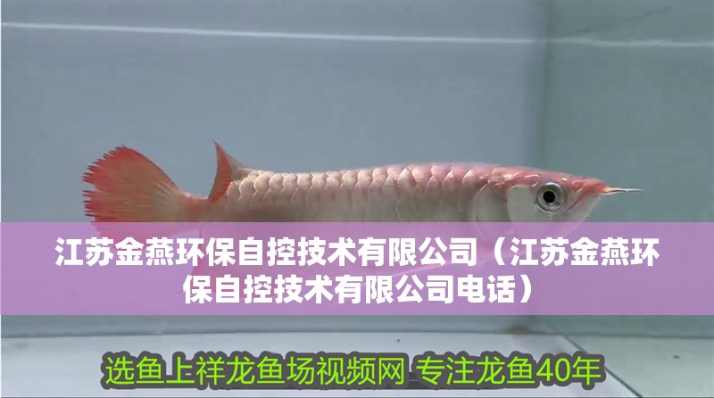 江蘇金燕環(huán)保自控技術有限公司（江蘇金燕環(huán)保自控技術有限公司電話）