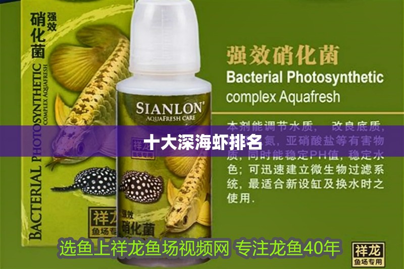 十大深海蝦排名 十大深海蝦排名 龍魚論壇