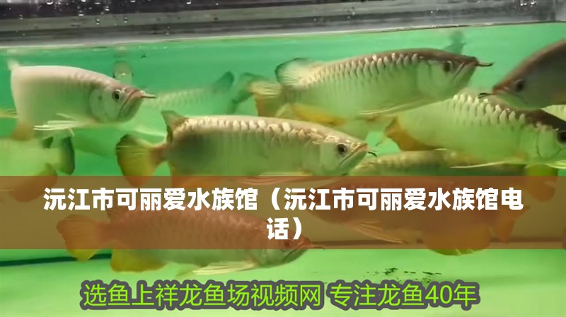 我的虎魚真菌感染了要怎么處理 沅江市可麗愛水族館(沅江市可麗愛水族館電話) 全國水族館企業(yè)名錄 沅江市可麗愛水族館(沅江市可麗愛水族館電話) 沅江市可麗愛水族館(沅江市可麗愛水族館電話) 全國水族館企業(yè)名錄