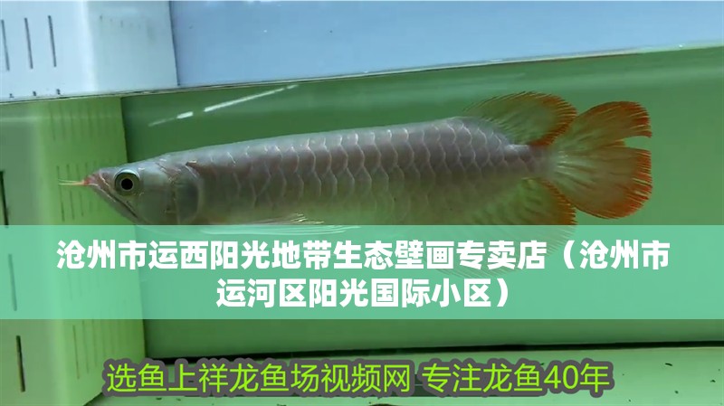 魚缸用增氧泵價格是多少:魚缸增氧機-xtrac增氧機-xtrac增氧機 滄州市運西陽光地帶生態壁畫專賣店(滄州市運河區陽光國際小區) 全國水族館企業名錄 滄州市運西陽光地帶生態壁畫專賣店(滄州市運河區陽光國際小區) 滄州市運西陽光地帶生態壁畫專賣店(滄州市運河區陽光國際小區) 全國水族館企業名錄