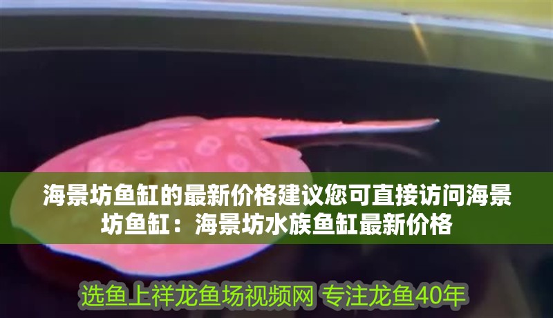 海景坊魚缸的最新價格建議您可直接訪問海景坊魚缸：海景坊水族魚缸最新價格