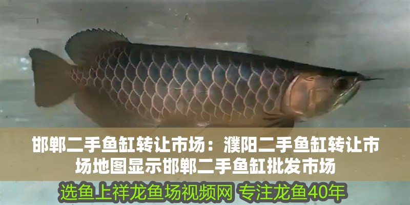 邯鄲二手魚缸轉讓市場：濮陽二手魚缸轉讓市場地圖顯示邯鄲二手魚缸批發市場