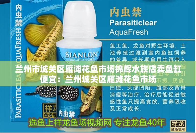 蘭州市城關區(qū)雁灘花魚市場錦輝水族店賣魚缸便宜：蘭州城關區(qū)雁灘花魚市場