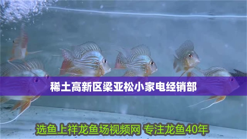 稀土高新區(qū)梁亞松小家電經(jīng)銷部