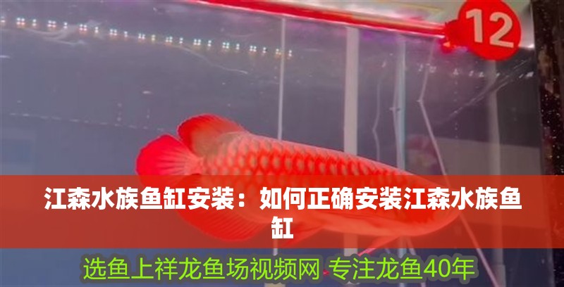江森水族魚缸安裝：如何正確安裝江森水族魚缸 江森水族魚缸安裝：如何正確安裝江森水族魚缸 魚缸百科