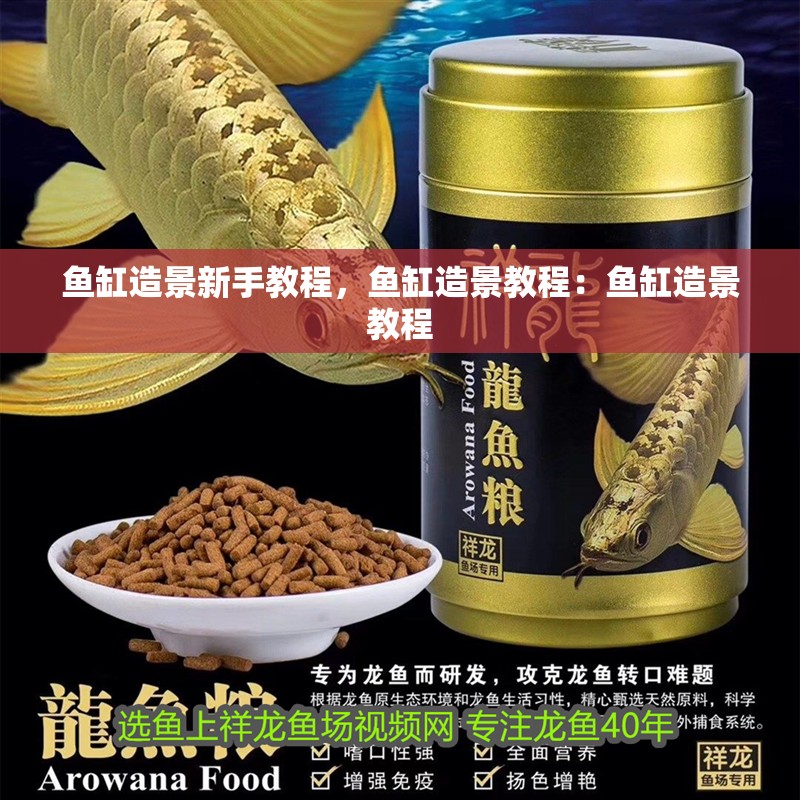 魚缸造景新手教程，魚缸造景教程：魚缸造景教程