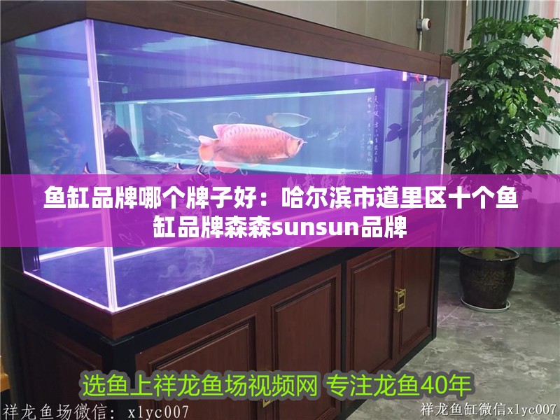 魚缸品牌哪個牌子好：哈爾濱市道里區十個魚缸品牌森森sunsun品牌