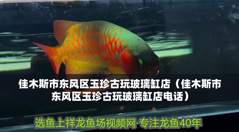 佳木斯市東風區玉珍古玩玻璃缸店（佳木斯市東風區玉珍古玩玻璃缸店電話）