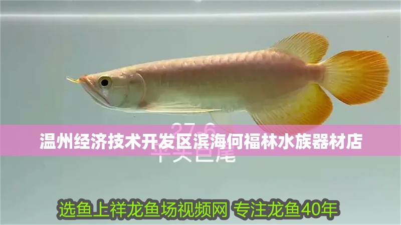 溫州經濟技術開發區濱海何福林水族器材店