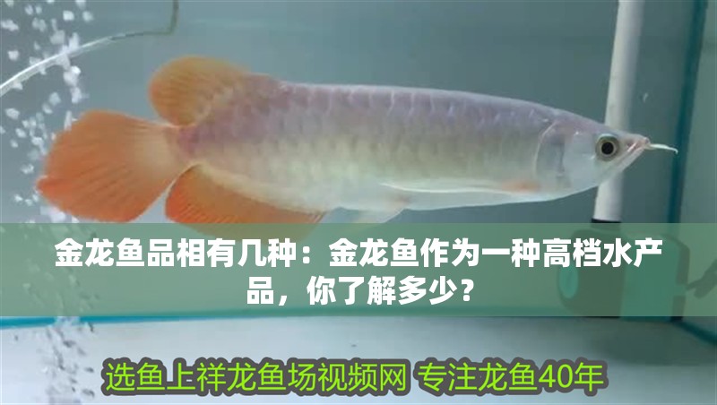 金龍魚品相有幾種：金龍魚作為一種高檔水產品，你了解多少？ 金龍魚品相有幾種：金龍魚作為一種高檔水產品，你了解多少？ 龍魚百科