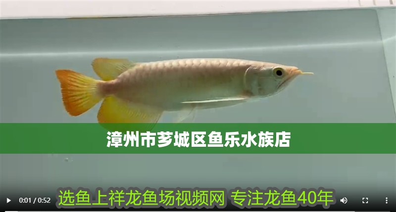 漳州市薌城區魚樂水族店 漳州市薌城區魚樂水族店 全國水族館企業名錄