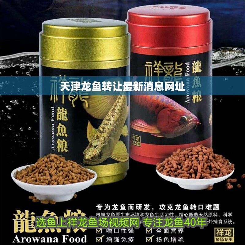 天津龍魚轉讓最新消息網址