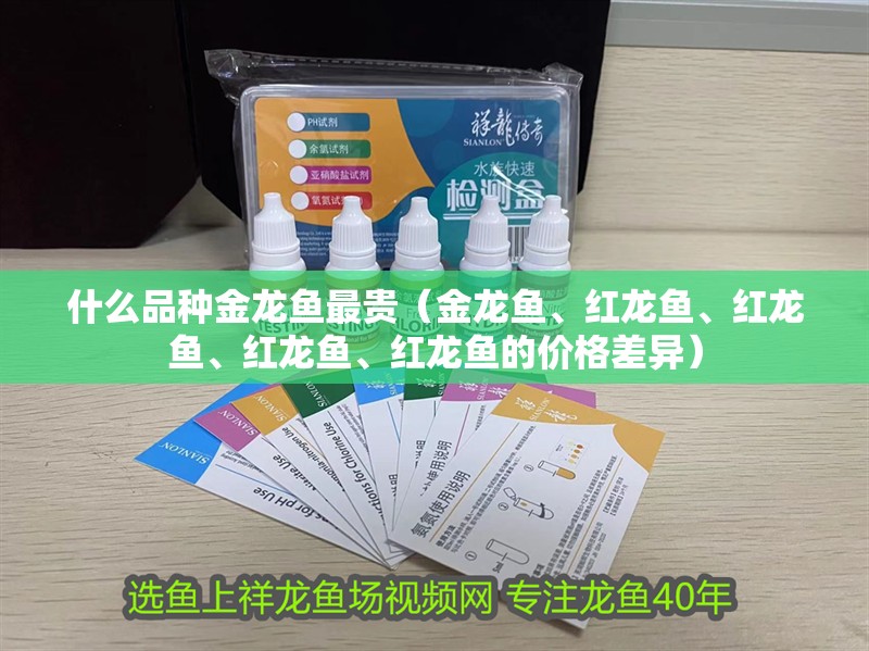 魚缸過濾器選購指南:自制魚缸過濾器魚缸上置過濾器對于養魚愛好者的必備知識 什么品種金龍魚最貴(金龍魚、紅龍魚、紅龍魚、紅龍魚、紅龍魚的價格差異) 龍魚百科 什么品種金龍魚最貴(金龍魚、紅龍魚、紅龍魚、紅龍魚、紅龍魚的價格差異) 什么品種金龍魚最貴(金龍魚、紅龍魚、紅龍魚、紅龍魚、紅龍魚的價格差異) 龍魚百科