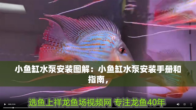 小魚缸水泵安裝圖解：小魚缸水泵安裝手冊和指南，