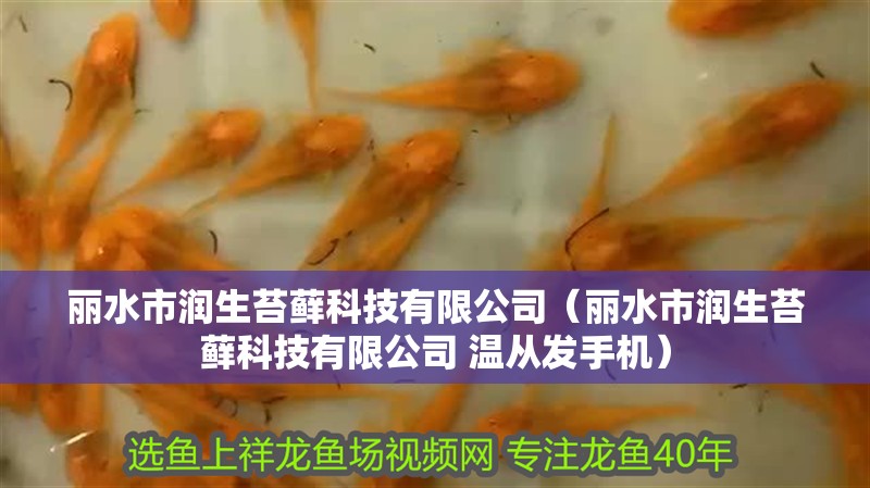 麗水市潤生苔蘚科技有限公司（麗水市潤生苔蘚科技有限公司 溫從發(fā)手機(jī)）