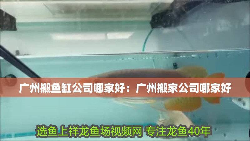 廣州搬魚缸公司哪家好：廣州搬家公司哪家好