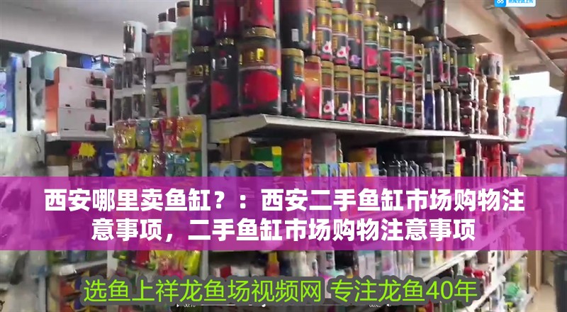 魚缸用增氧泵價格是多少:魚缸增氧機-xtrac增氧機-xtrac增氧機 西安哪里賣魚缸?:西安二手魚缸市場購物注意事項,二手魚缸市場購物注意事項 魚缸百科 西安哪里賣魚缸?:西安二手魚缸市場購物注意事項,二手魚缸市場購物注意事項 西安哪里賣魚缸?:西安二手魚缸市場購物注意事項,二手魚缸市場購物注意事項 魚缸百科