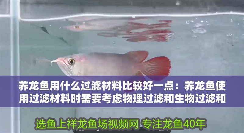 養龍魚用什么過濾材料比較好一點：養龍魚使用過濾材料時需要考慮物理過濾和生物過濾和生物過濾等方面