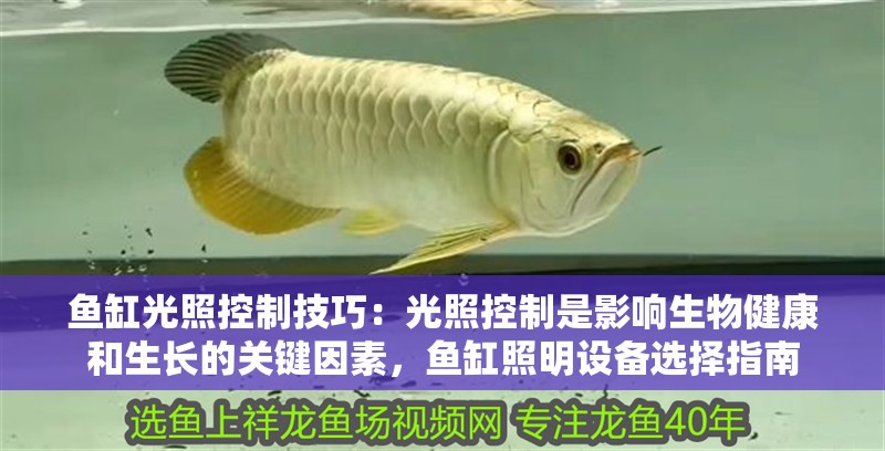 魚(yú)缸光照控制技巧：光照控制是影響生物健康和生長(zhǎng)的關(guān)鍵因素，魚(yú)缸照明設(shè)備選擇指南