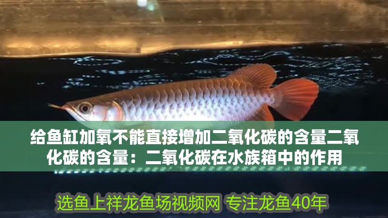給魚缸加氧不能直接增加二氧化碳的含量二氧化碳的含量：二氧化碳在水族箱中的作用