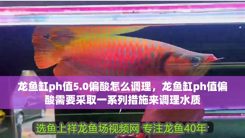 龍魚(yú)缸ph值5.0偏酸怎么調(diào)理，龍魚(yú)缸ph值偏酸需要采取一系列措施來(lái)調(diào)理水質(zhì)
