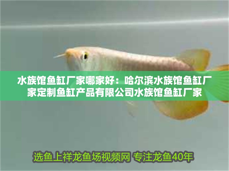 水族館魚缸廠家哪家好：哈爾濱水族館魚缸廠家定制魚缸產(chǎn)品有限公司水族館魚缸廠家