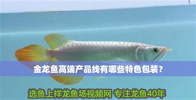 金龍魚高端產品線有哪些特色包裝？ 金龍魚高端產品線有哪些特色包裝？ 水族問答