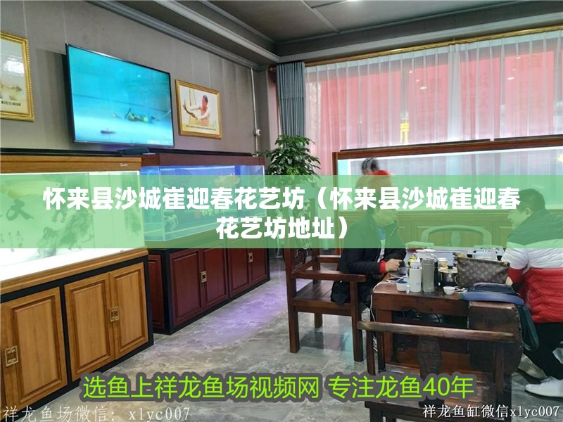 懷來縣沙城崔迎春花藝坊（懷來縣沙城崔迎春花藝坊地址）