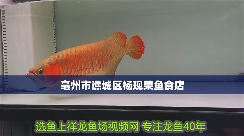 亳州市譙城區楊現榮魚食店