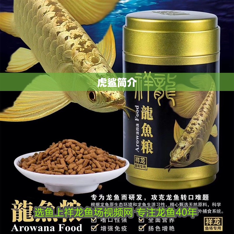 龍魚干蝦有營養嗎 虎鯊簡介 龍魚論壇 虎鯊簡介 虎鯊簡介 龍魚論壇