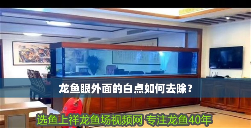 龍魚眼外面的白點(diǎn)如何去除？