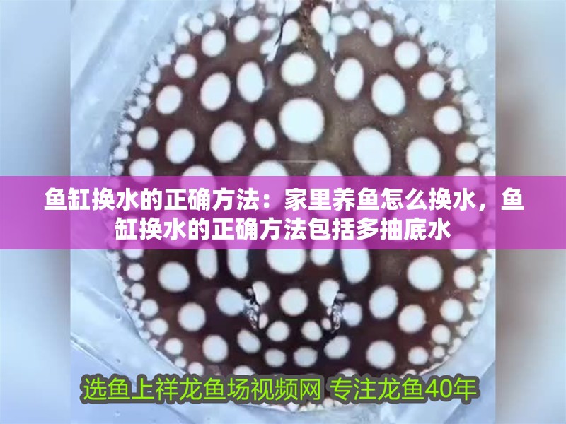 魚缸換水的正確方法：家里養魚怎么換水，魚缸換水的正確方法包括多抽底水