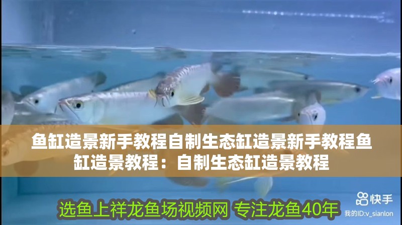 魚缸造景新手教程自制生態缸造景新手教程魚缸造景教程：自制生態缸造景教程