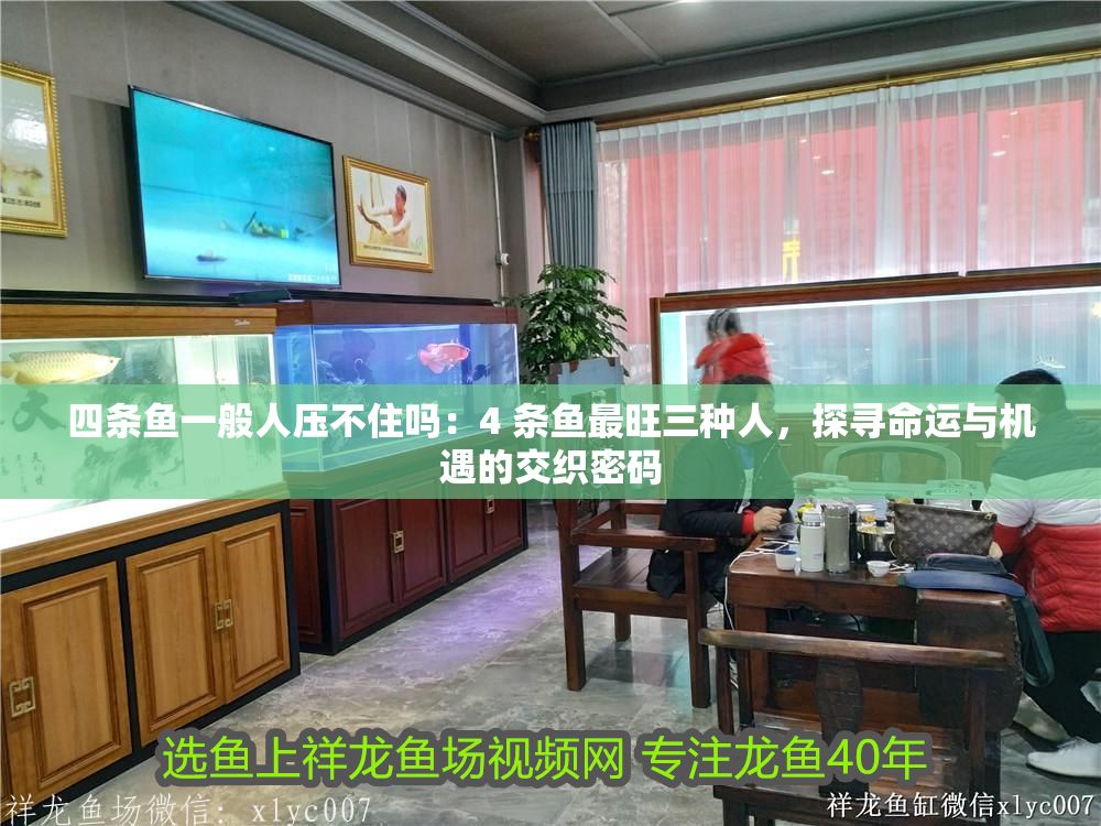 四條魚一般人壓不住嗎：4 條魚最旺三種人，探尋命運與機遇的交織密碼