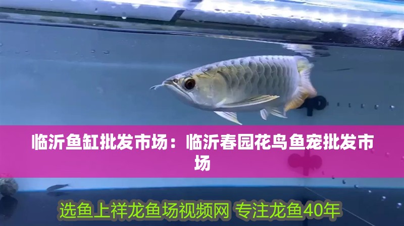 臨沂魚缸批發(fā)市場：臨沂春園花鳥魚寵批發(fā)市場