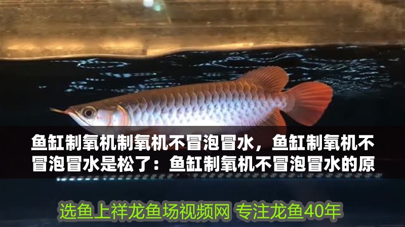 魚缸制氧機制氧機不冒泡冒水，魚缸制氧機不冒泡冒水是松了：魚缸制氧機不冒泡冒水的原因
