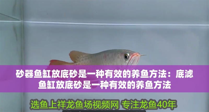 砂器魚缸放底砂是一種有效的養魚方法：底濾魚缸放底砂是一種有效的養魚方法