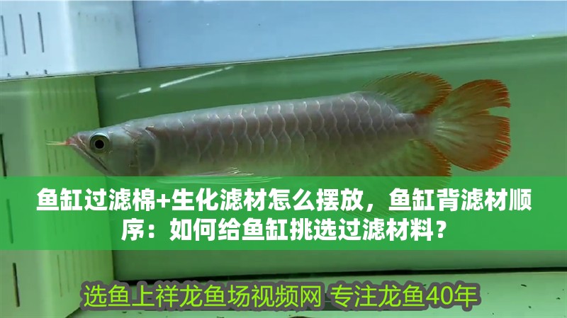 魚(yú)缸過(guò)濾棉+生化濾材怎么擺放，魚(yú)缸背濾材順序：如何給魚(yú)缸挑選過(guò)濾材料？