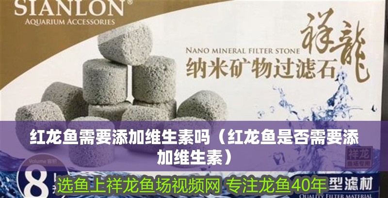 紅龍魚需要添加維生素嗎（紅龍魚是否需要添加維生素）