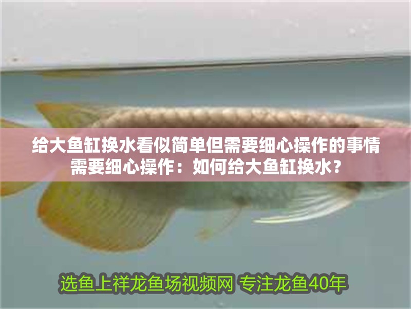 給大魚缸換水看似簡單但需要細心操作的事情需要細心操作：如何給大魚缸換水？ 給大魚缸換水看似簡單但需要細心操作的事情需要細心操作：如何給大魚缸換水？ 魚缸百科