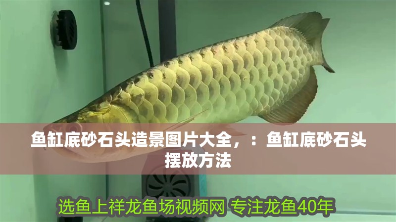 魚缸底砂石頭造景圖片大全，：魚缸底砂石頭擺放方法