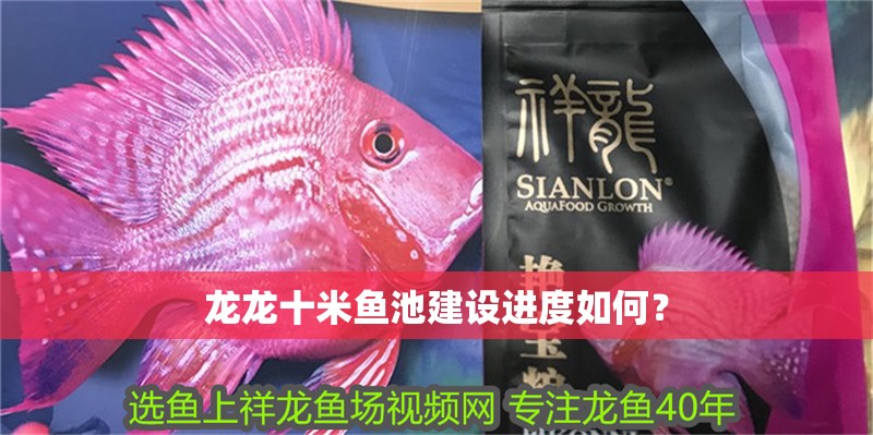 龍龍十米魚池建設(shè)進(jìn)度如何？