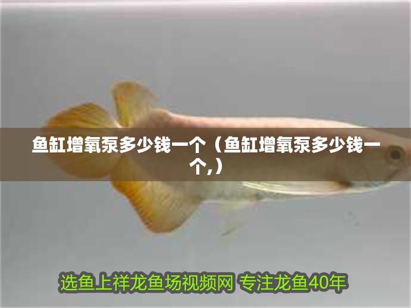 魚缸增氧泵多少錢一個（魚缸增氧泵多少錢一個,） 魚缸增氧泵多少錢一個（魚缸增氧泵多少錢一個,） 魚缸百科