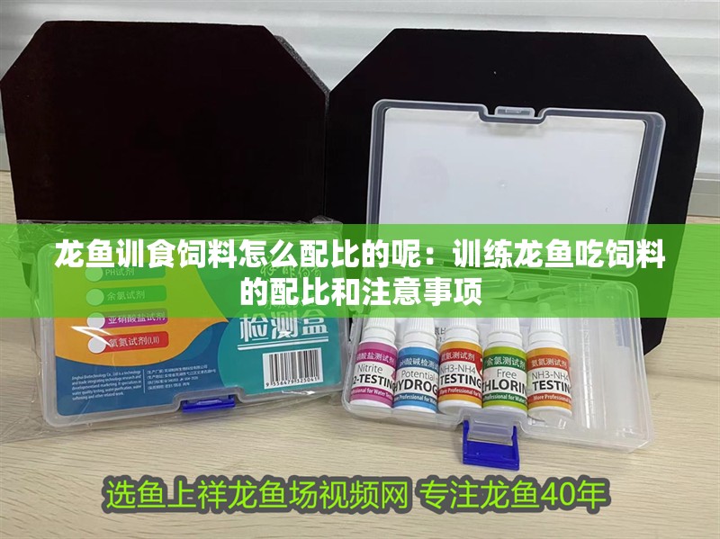 龍魚訓食飼料怎么配比的呢：訓練龍魚吃飼料的配比和注意事項