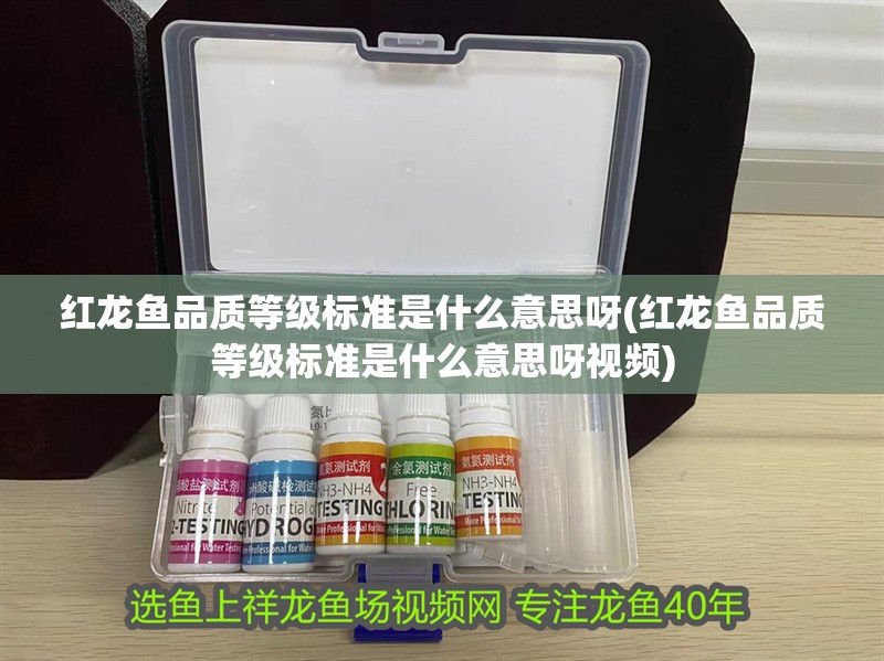 紅龍魚品質等級標準是什么意思呀(紅龍魚品質等級標準是什么意思呀視頻)